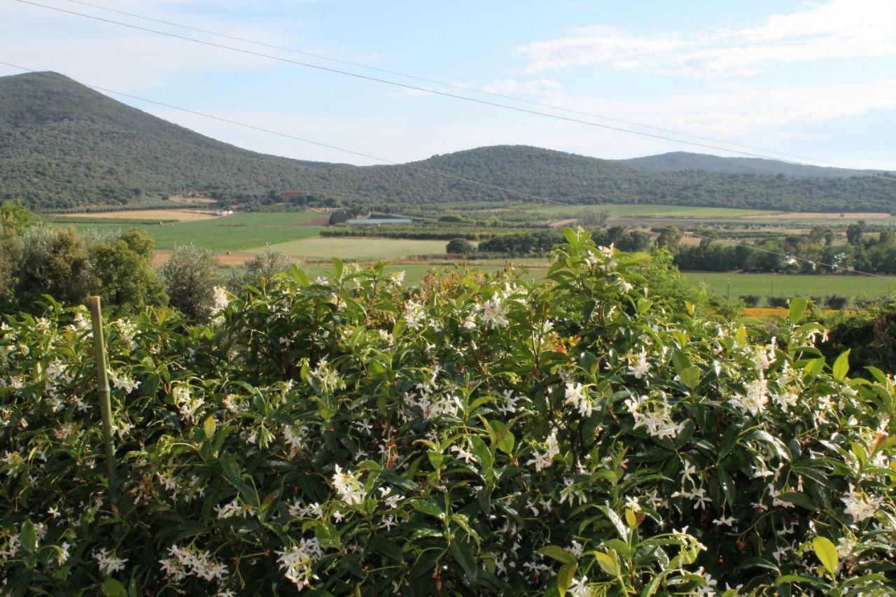 Agriturismo Podere Montenero Alberese Εξωτερικό φωτογραφία